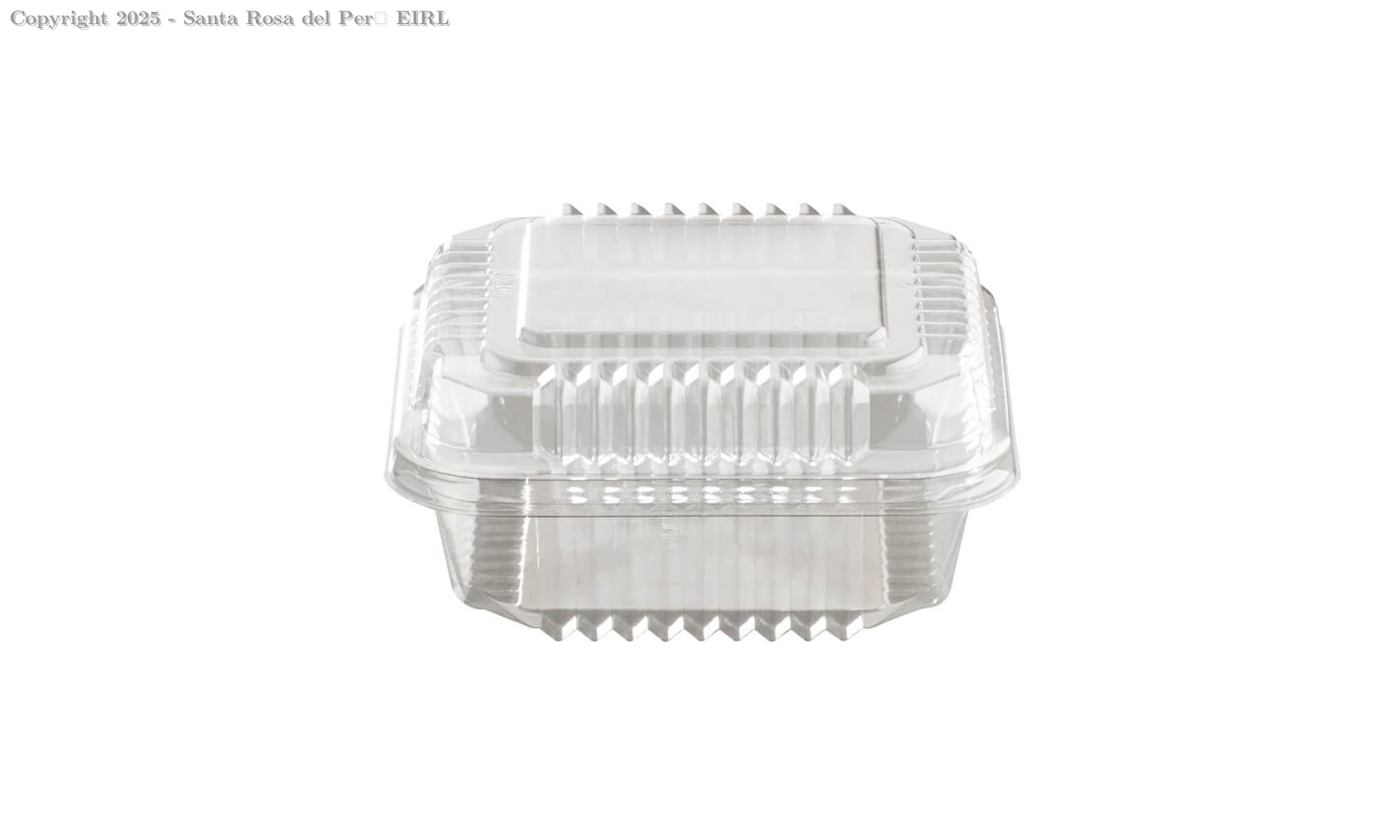 ENVASE BISAGRA 10X10 MINIPACK MS