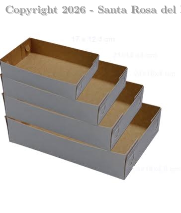CAJA DE BOCADITO # 4 BL.  19 X 24 X 4.5 (S/TAPA)