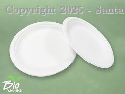 PLATO BIOFORM # 15 ECOLOGICO