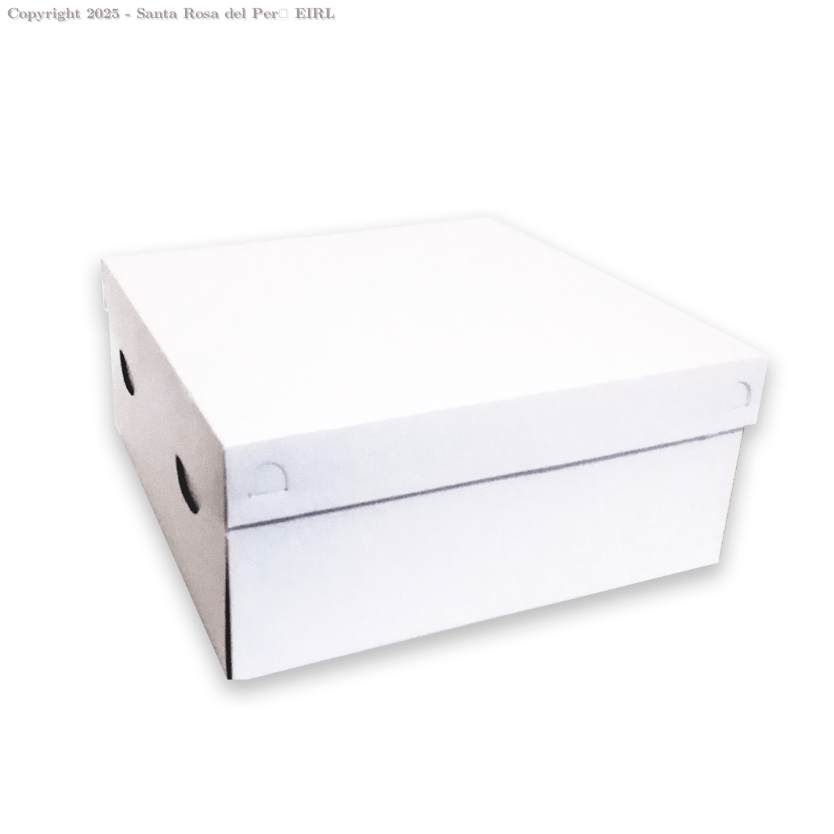 CAJA DE TORTA DUPLEX 25 X 25  C/TAPA