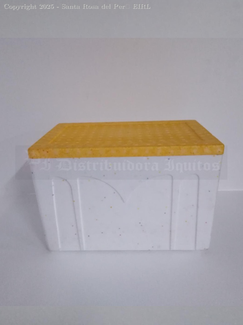 CAJA DE TECNOPORT 25 LITROS ( L:37CM/A:29CM/AL:21.5CM)