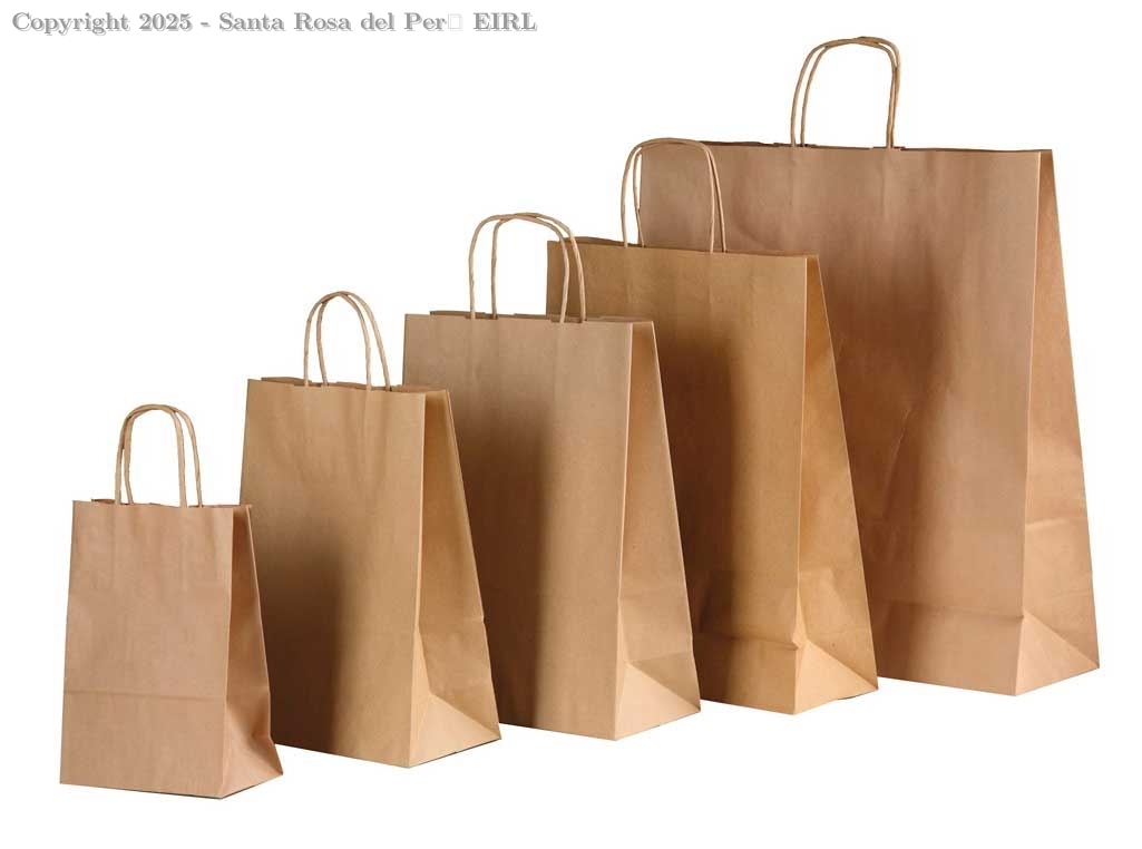 BOLSA DE  PAPEL CON ASA TWIST # 20 KRAFT 21x30x13