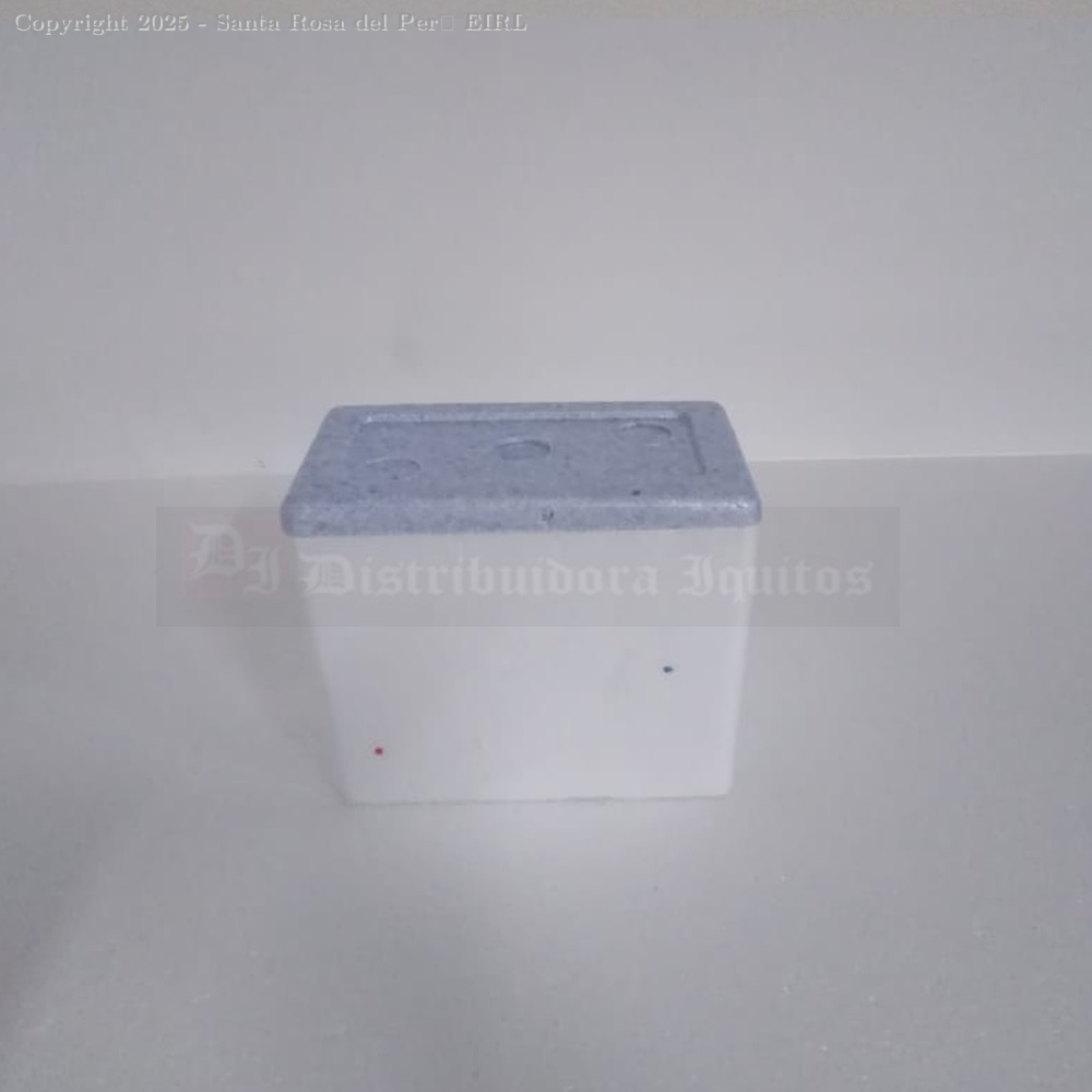 CAJA DE TECNOPORT 3.5 LTS 24X14X13